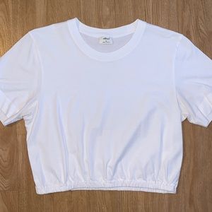 aritzia (wilfred) - cropped tee